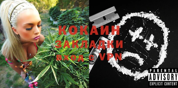 стаф Алзамай