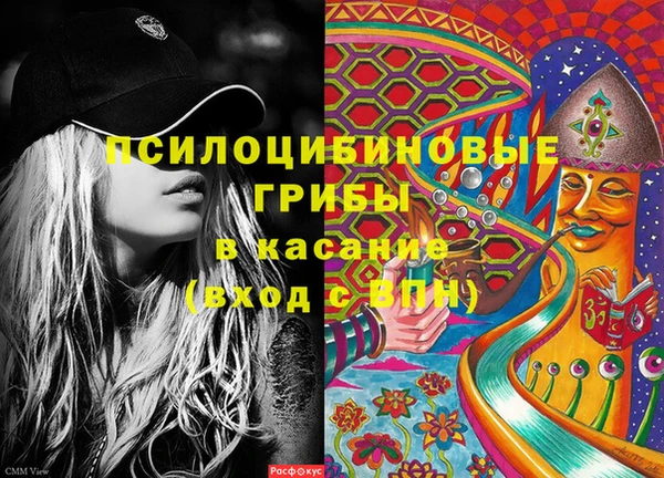 соль ск Абаза