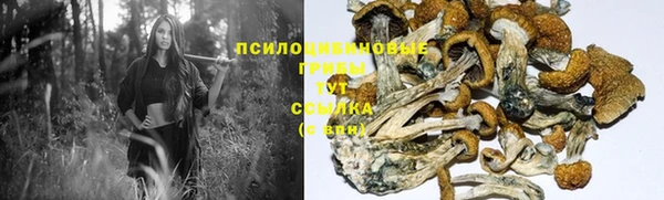 твердый Алексин