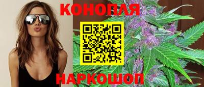 apvp Краснодар