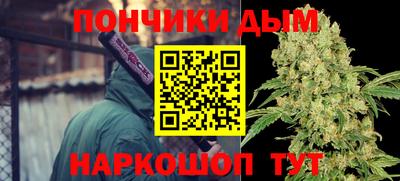 МДПВ Краснознаменск