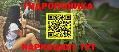 МДПВ Краснознаменск