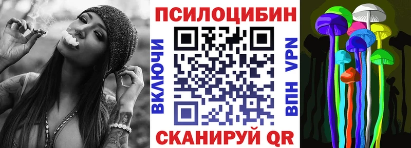KRAKEN как зайти  Донской  Галлюциногенные грибы Cubensis 